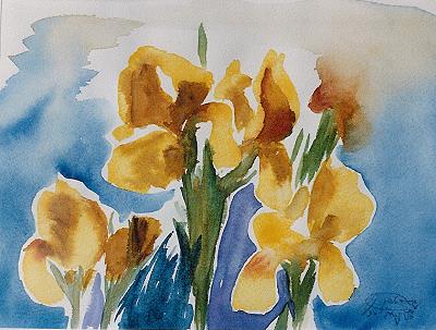 Iris Gelb