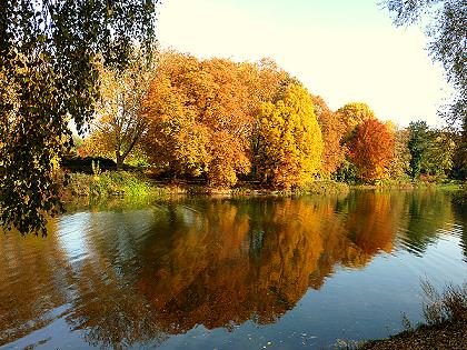 Herbst am Berger See
