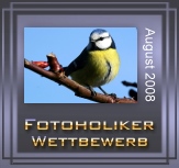 Gewinnergrafik