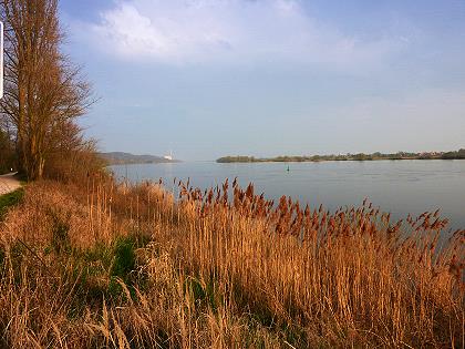 Elbe bei Geesthacht