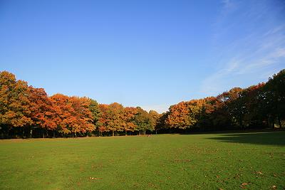 Herbst im Park