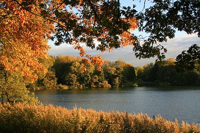 Herbstliche Stimmung am Berger See