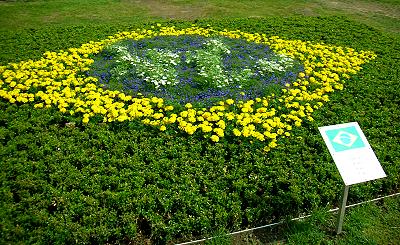 brasilianisches Blumenbeet