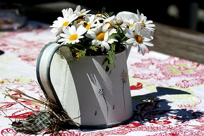 Gießkanne mit Margeriten