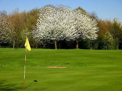 Golfplatz