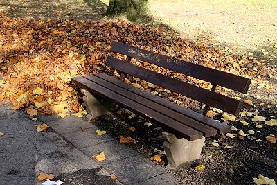 Laub an Herbstbank