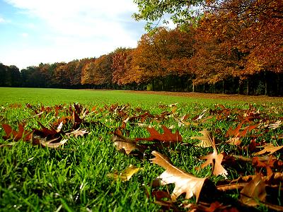 Herbstspielwiese im Berger Park