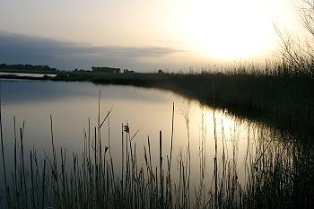 Albufera