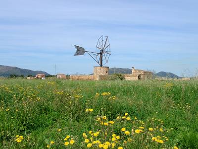 Windmühle bei Sa Pobla