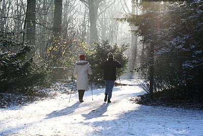 Winter im Park