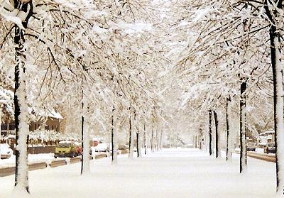 Der Schernerweg im Schnee