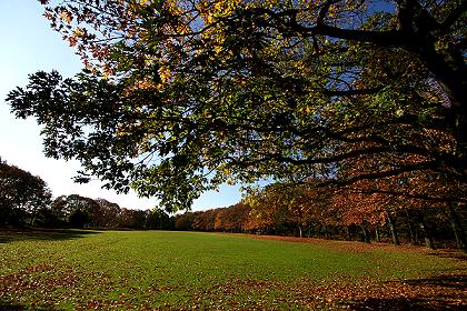 Große Wiese am Berger See