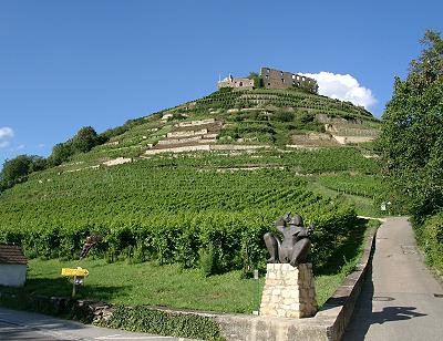 Staufen i.Breisgau