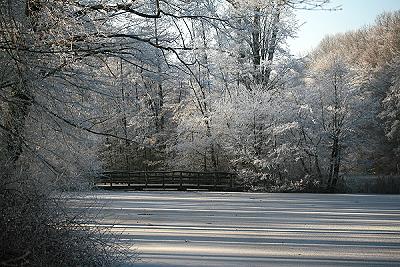 Winter im Stadtwald Buer