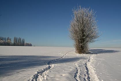 Winter in Buer