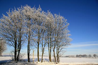 Winter in Buer-Resse