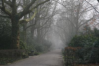 Wintertag auf dem Buerschen Friedhof