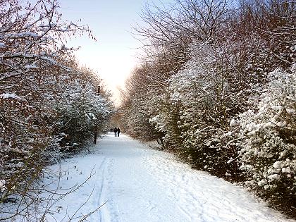 Winterweg