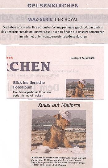 Teitgsausschnitte von Tier Royal