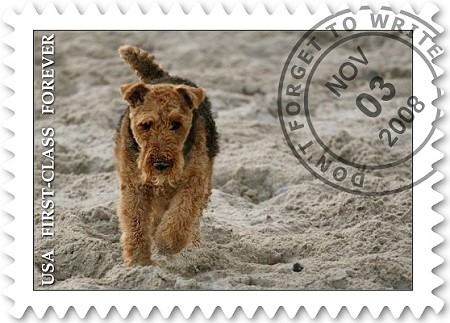 Xmas als Briefmarke