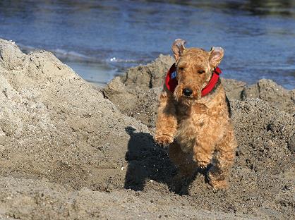 Xmas am Strand